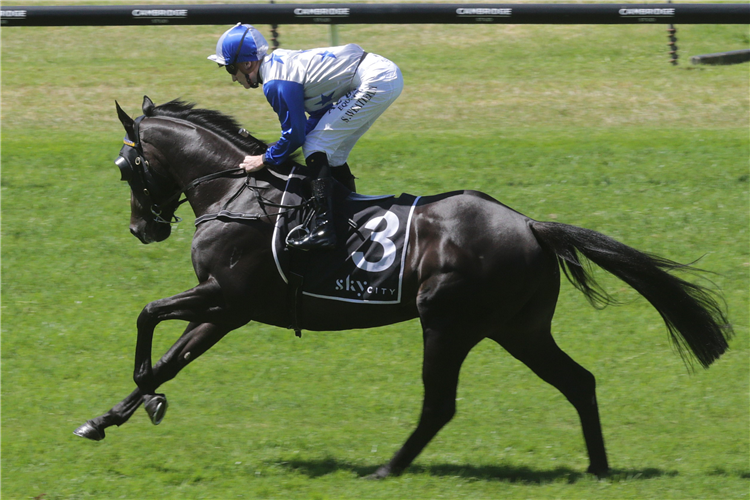 DARK DESTROYER winning the Treasury Brisbane Qld Guineas