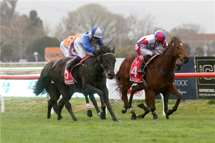 DARK DESTROYER (left) winning the TARZINO TROPHY