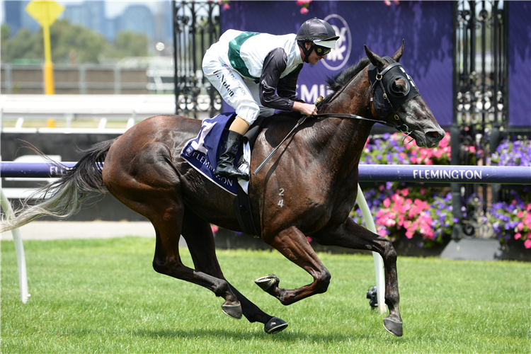 DARK DREAM winning the California Memory (Bm100) at Flemington in Australia.