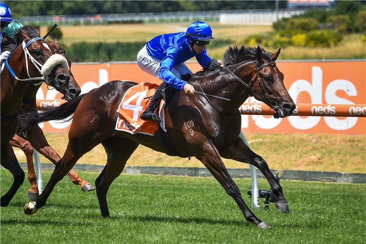 DAUMIER winning the Neds Blue Diamond Preview-C&G at Caulfield in Australia.