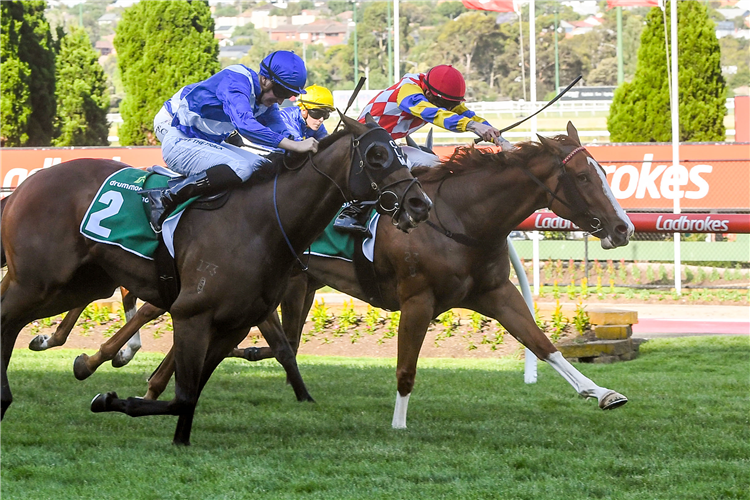 DAZZLING LUCY winning the Drummond Golf Handicap at Moonee Valley in Australia.