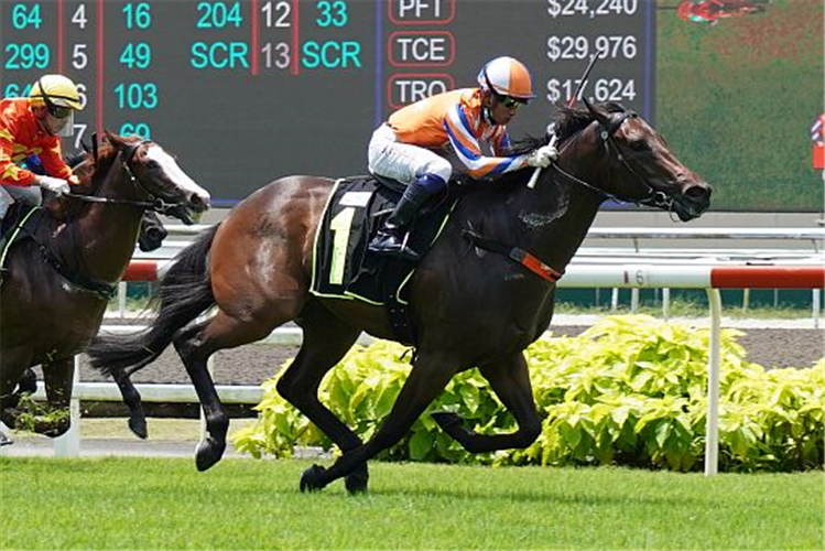 DECEPTION winning the RESTRICTED MAIDEN