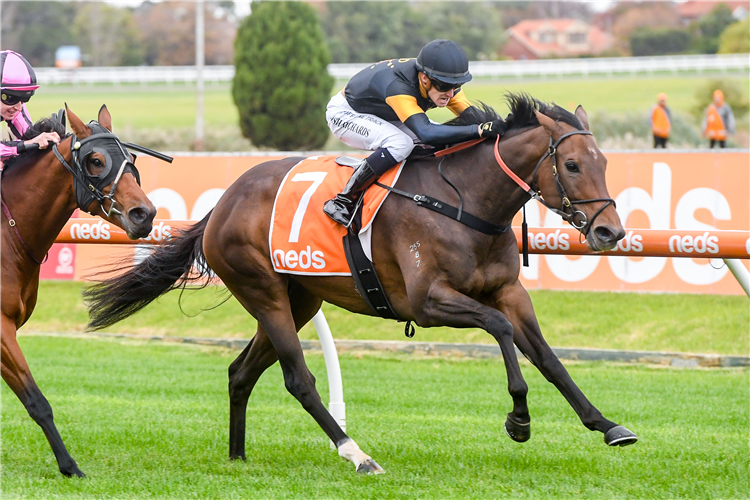 DENY KNOWLEDGE winning the Selangor Turf Club Hcp at Caulfield in Australia.