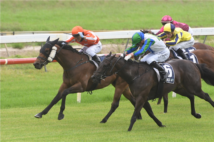 DESERT LIGHTNING winning the Alibaba's Flying Carpets 2yo