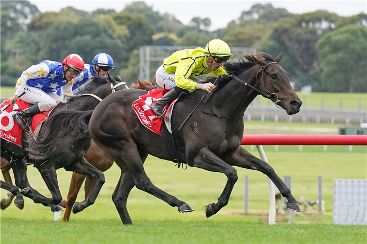 DETONATOR JACK winning the Ladbrokes Mega Multi Handicap at Ladbrokes Park Lakeside in Springvale, Australia.