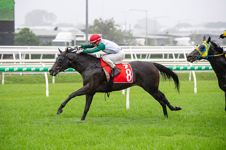 DIAMIL winning the Channel 7 Members' Hcp