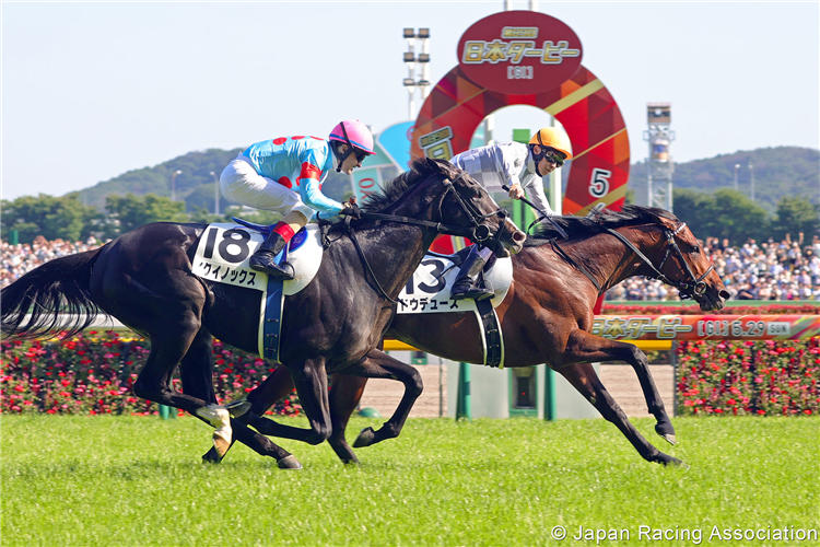 DO DEUCE winning the Tokyo Yushun (Japanese Derby) at Tokyo in Japan.