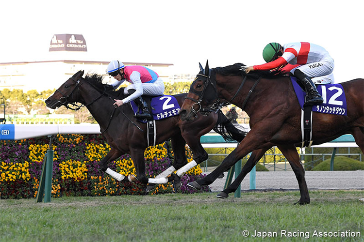 DOLCE MORE winning the Asahi Hai Futurity Stakes at Hanshin in Japan.