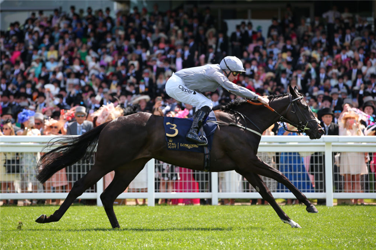 DRAMATISED winning the Queen Mary Stakes at Royal Ascot in England.