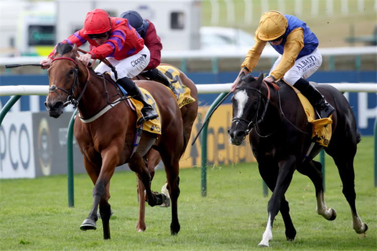 DREAMLOPER winning the Betfair Exchange Dahlia Stakes (Fillies' And Mares' Group 2)