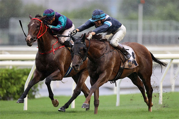 DUKE WAI (outer) winning the 25th H.K. Reunification Cup-C1