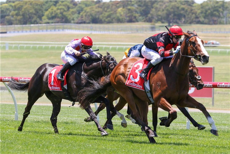 DUNKEL winning the Frank O'Brien Handicap