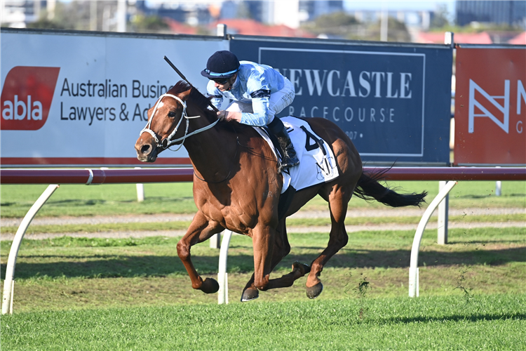 DURSTON winning the SHARP OFFICE NEWCASTLE GOLD CUP at Newcastle in Australia.