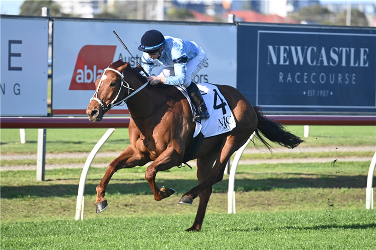 DURSTON winning the SHARP OFFICE NEWCASTLE GOLD CUP at Newcastle in Australia.