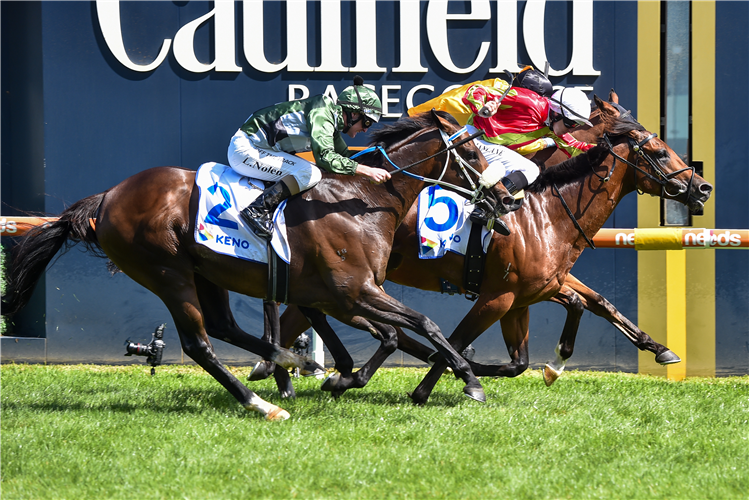 EARLSWOOD (white cap) winning the Carlyon Cup at Caulfield in Australia.