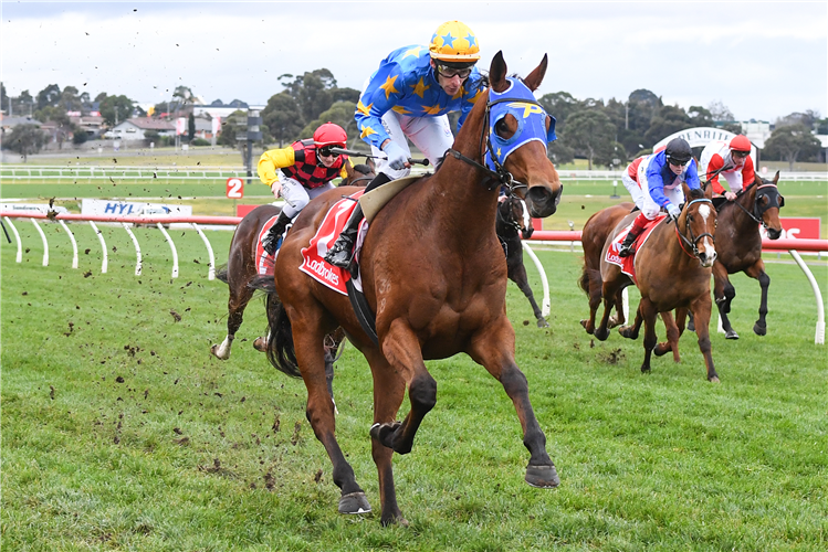 EL ROCKO winning the Ladbrokes Mates Mode Handicap at Sandown in Melbourne, Australia.