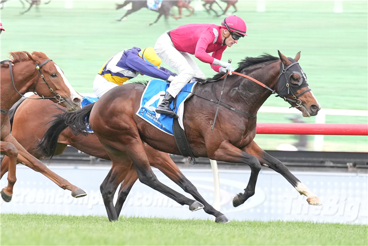 ELLIPTICAL winning the Tile Importer Handicap at Ladbrokes Park Lakeside in Springvale, Australia.