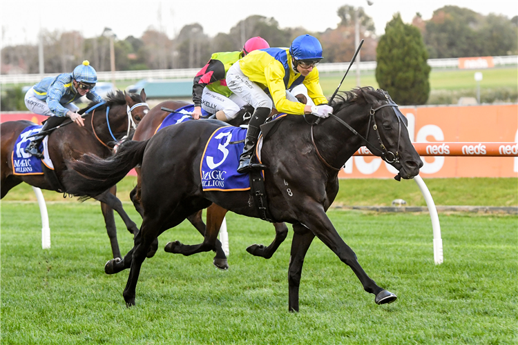 ELZAMEE winning the Magic Millions National Sale at Caulfield in Australia.