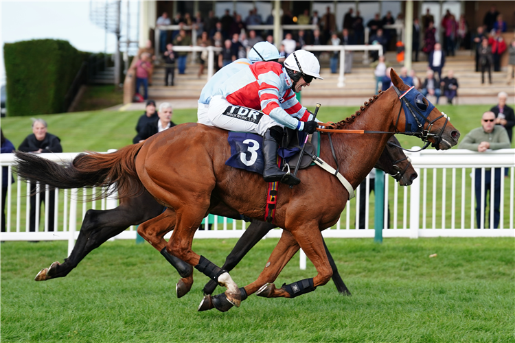 ERNESTO winning the Black Mountain Botanicals Handicap Hurdle during the ELY Memorial Fund Charity Raceday at Hereford Racecourse.