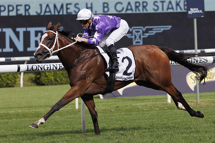 ESPIONA winning the Mostyncopper J H B Carr Stakes