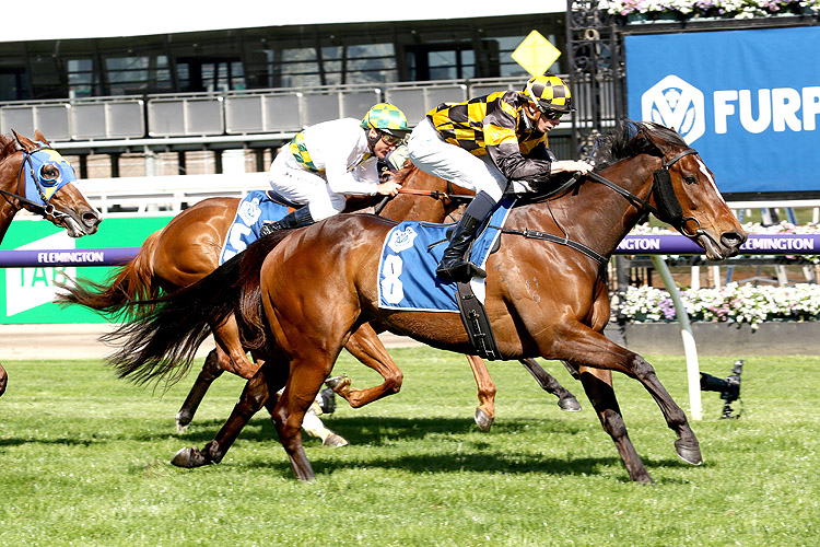 EXCELIDA winning the Furphy Rose of Kingston Stakes.
