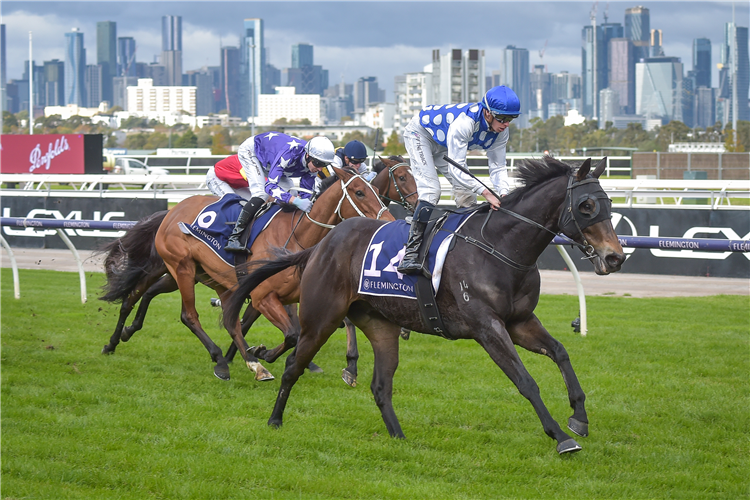 EXCELLERATION winning the Banjo Paterson Series Plate at Flemington in Australia.