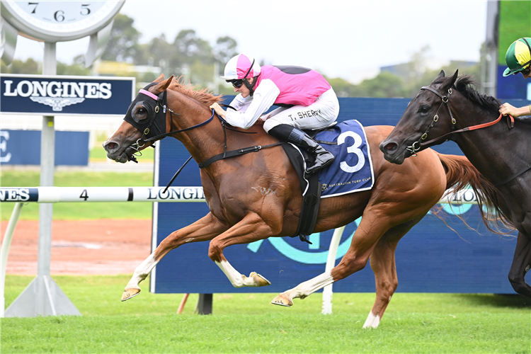 EXPAT winning the Rosehill Bowling Club Millie Fox Stakes at Rosehill in Australia.