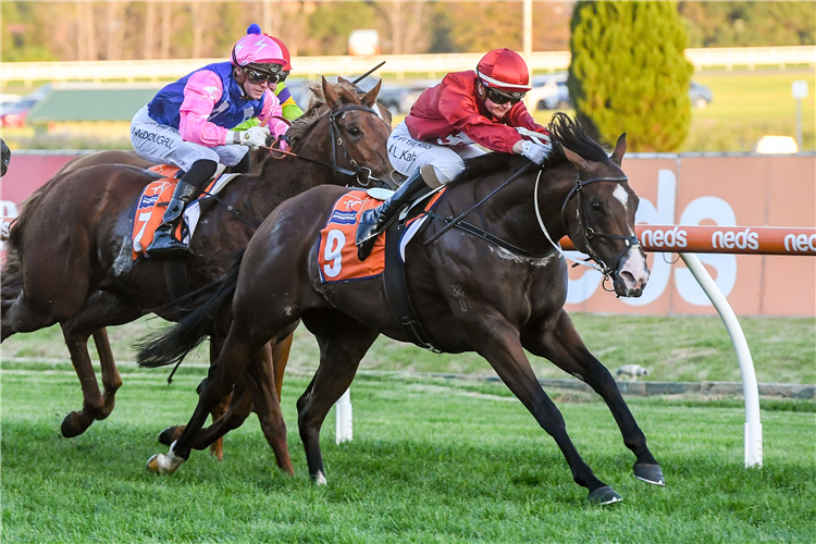 EXTREME WARRIOR winning the Bel Esprit Stakes at Caulfield in Australia.