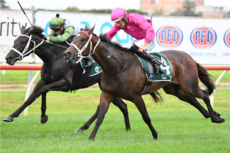FANGIRL winning the Vinery Stud Stakes at Newcastle in Australia.