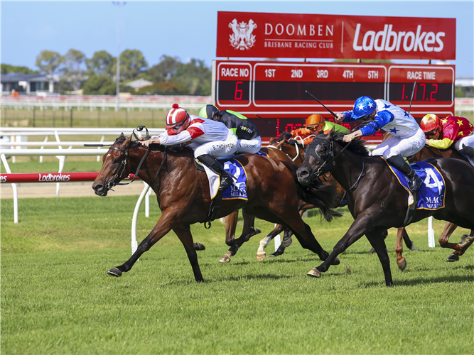 FASHION LEGEND (red & white colours) winning the MAGIC MILLIONS VO ROGUE PLATE