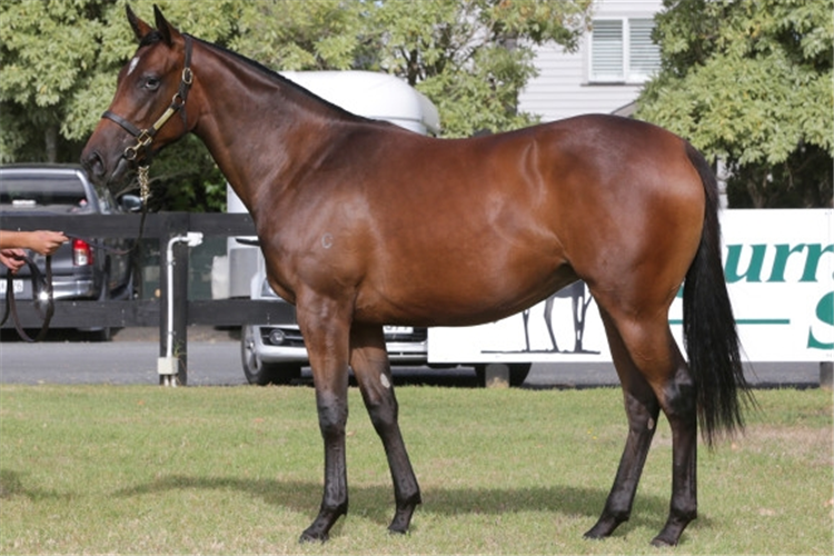 The $850,000 Karaka filly who is a sister to Unforgotten.