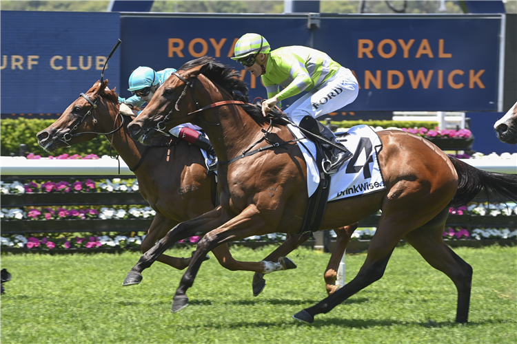 FIRE LANE winning the DRINKWISE PLATE at Randwick in Australia.