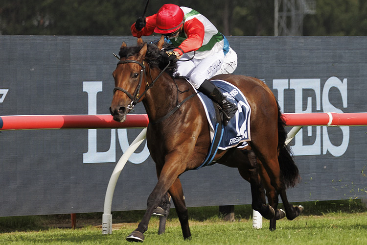 FIREBURN winning the Longines Golden Slipper.