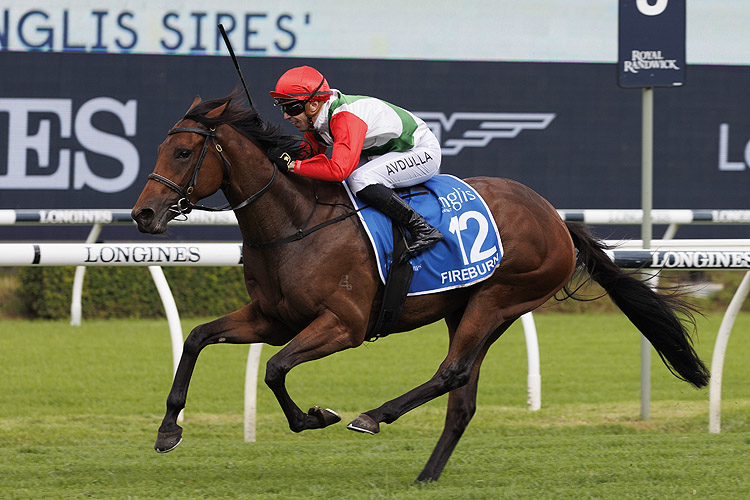 FIREBURN winning the Inglis Sires'