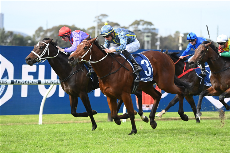FLAG OF HONOUR winning the Furphy Hcp at Rosehill in Australia.