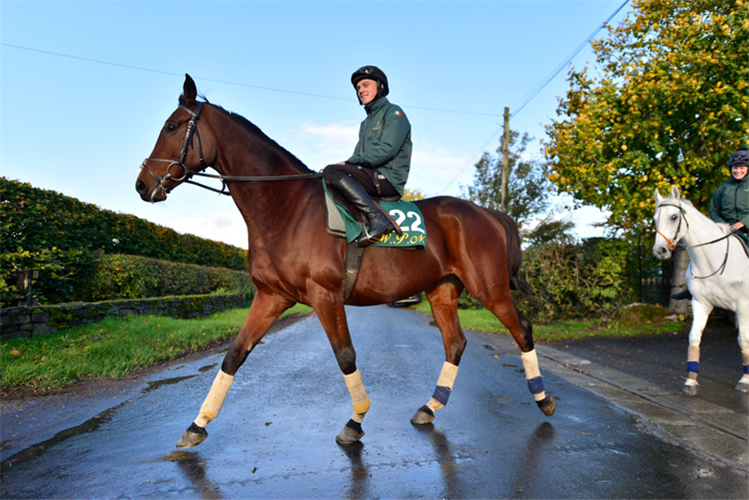 Flame Bearer and groom Luke Donnelly pictured heading for the gallops at Champion Trainer Willie Mullins yard ahead of the new National Hunt Season.