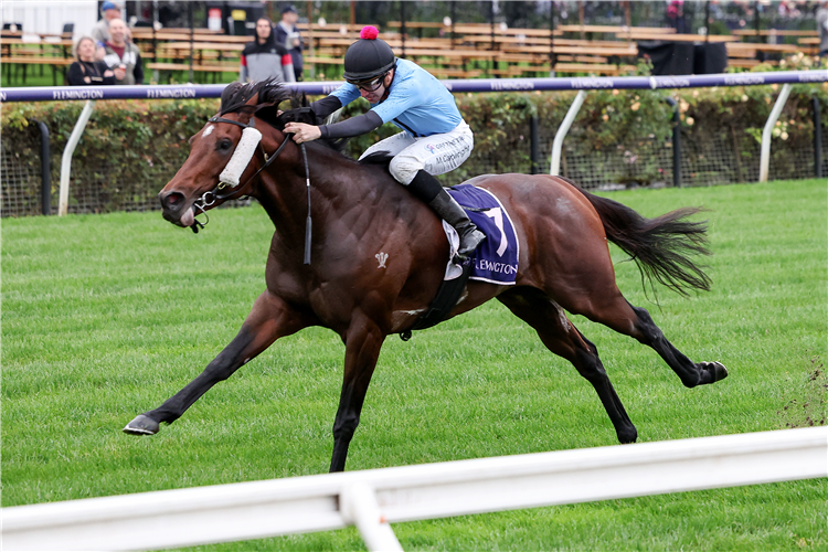 FLASH FEELING winning the Mahogany Challenge Series Hcp at Flemington in Australia.