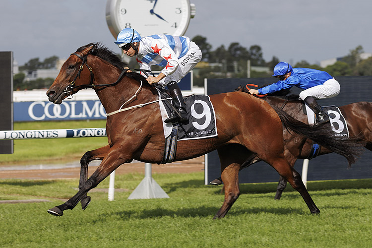 FORBIDDEN LOVE winning the The Agency George Ryder Stks