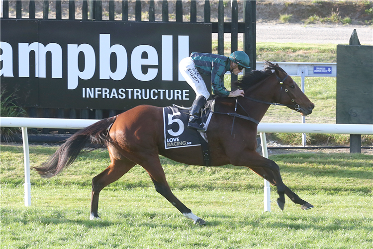 FRANCESCA winning the Rydges Rotorua Stakes