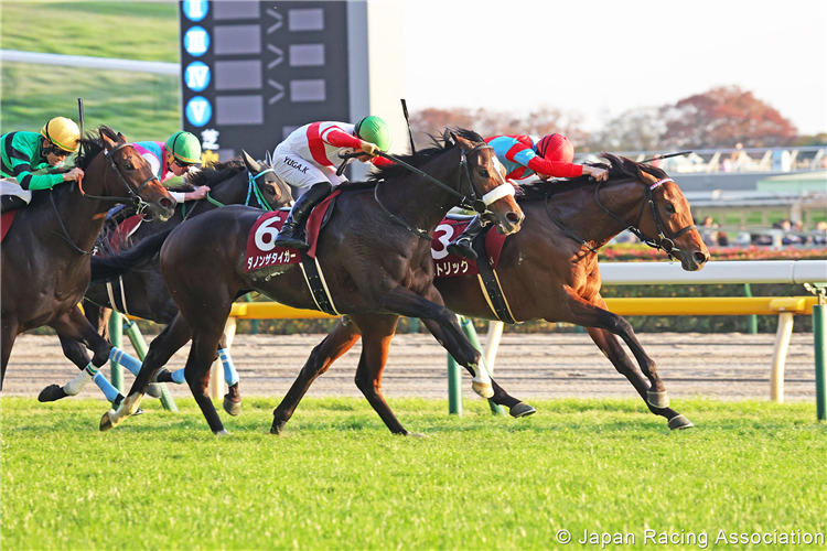 GASTRIQUE winning the Tokyo Sports Hai Nisai Stakes at Tokyo in Japan.
