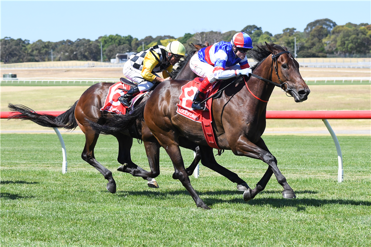 GATE CRASH winning the Blended Bets Hcp at Sandown in Australia.
