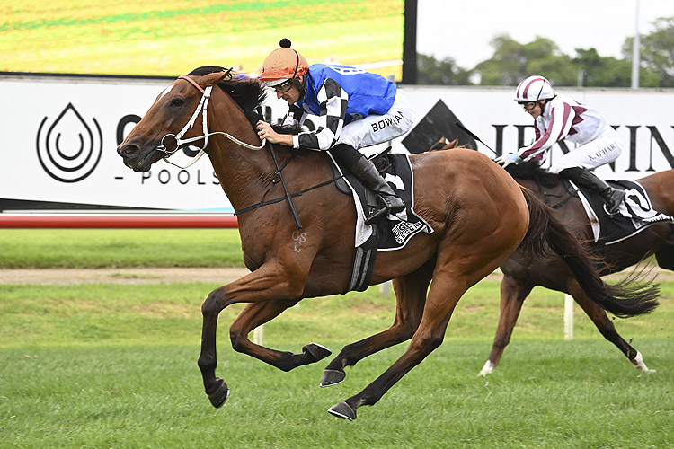 GEM SONG winning the Egroup Security Star Kingdom