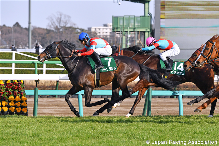 GENDARME winning the Ocean Stakes at Nakayama in Japan.