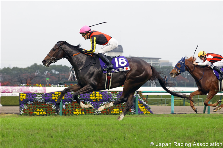 GERALDINA winning the Queen Elizabeth II Cup at Hanshin in Japan.