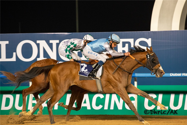 GET BACK GOLDIE winning the Oud Metha Stakes Presented By Longines Master Collection