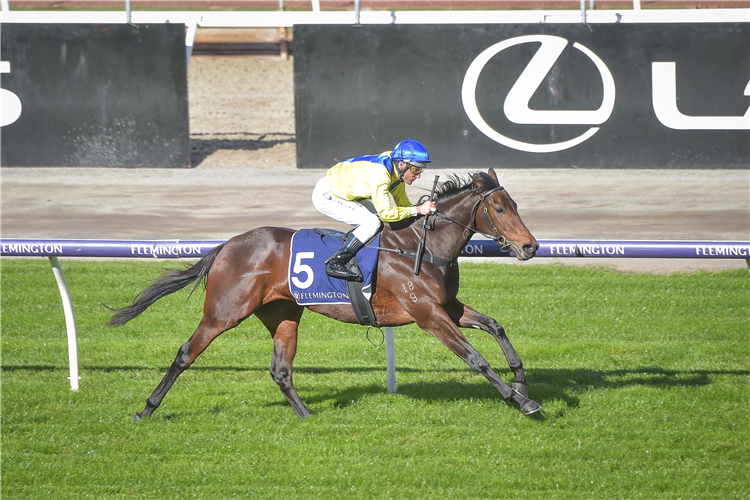 GHAANATI winning the Next Generation Sprinters Hcp at Flemington in Australia.