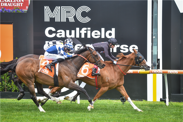 Gin Martini Wins The Sandown Cup Post Race Trainer And Jockey Quotes