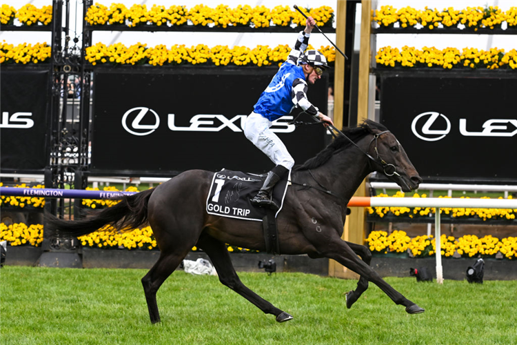 GOLD TRIP winning the Melbourne Cup at Flemington in Melbourne, Australia. 