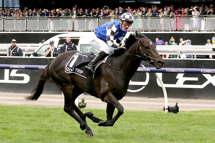 GOLD TRIP winning the Lexus Melbourne Cup