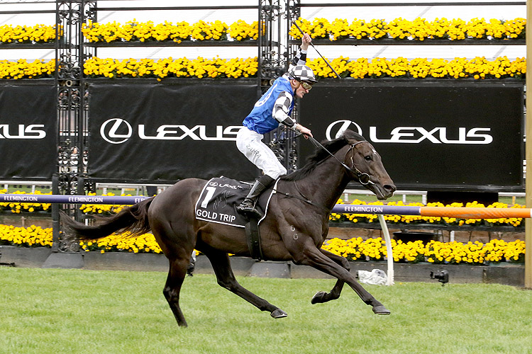 GOLD TRIP winning the Lexus Melbourne Cup